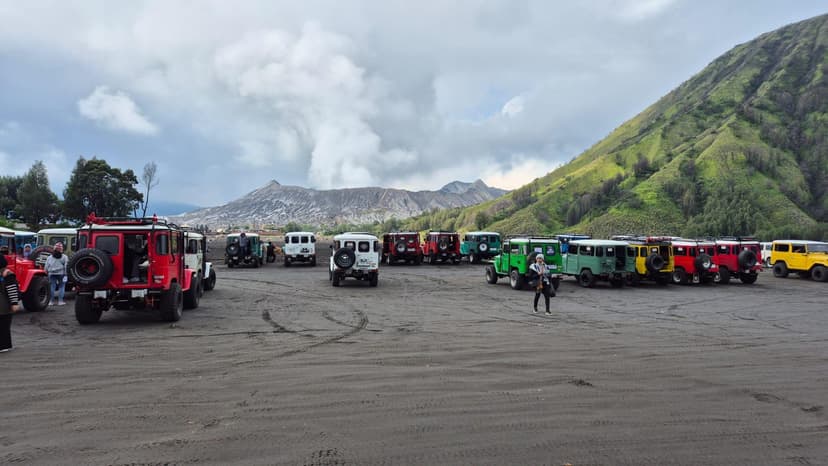 Neomi Tour and Travel